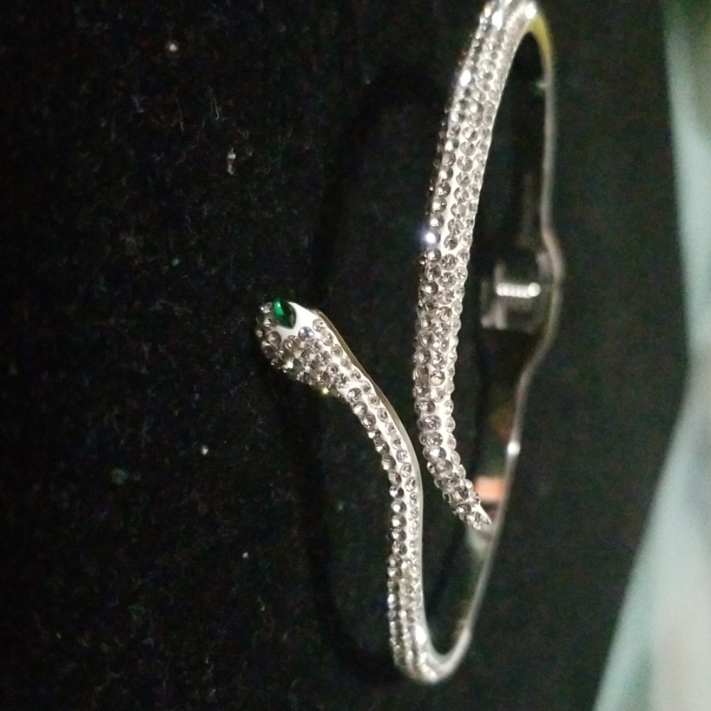 Sneak bangle